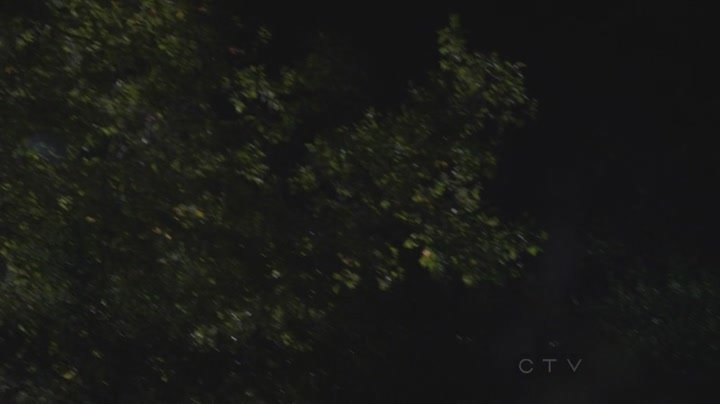 cm802_2001.jpg